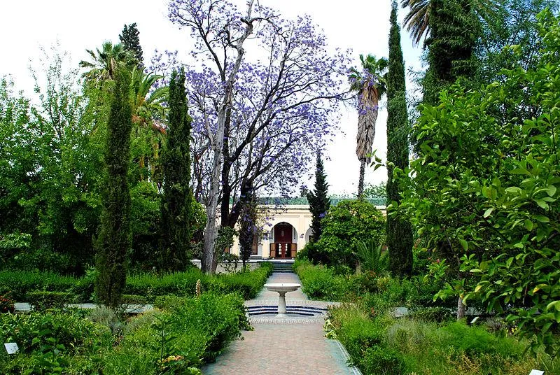 Musée Dar Batha